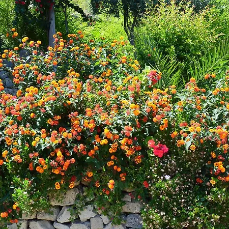 Otel Casa Gerardo 3*