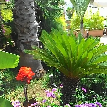 Casa Gerardo Otel Sant'Angelo (Isola d'Ischia)