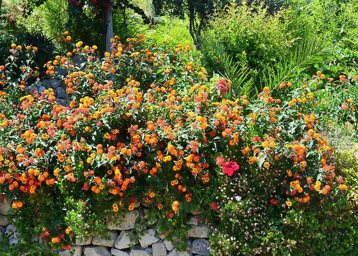 Hotel Casa Gerardo 3*