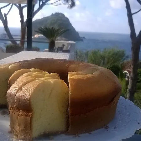 ホテル Casa Gerardo Sant'Angelo (Isola d'Ischia)