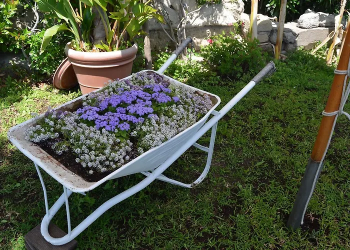 Casa Gerardo Hotel 3*