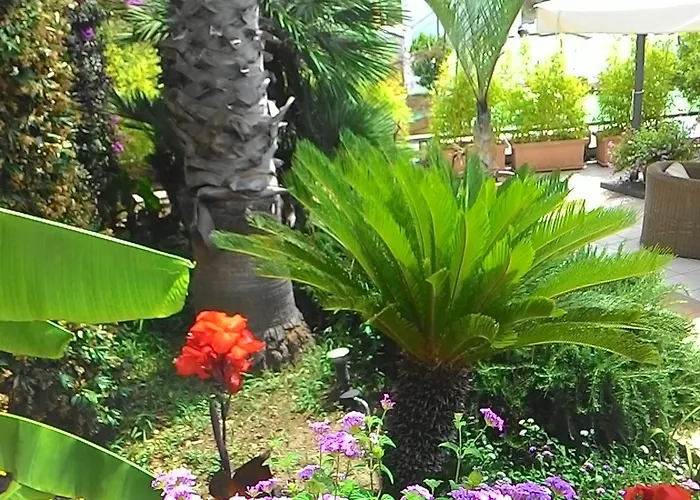 Casa Gerardo Hotel Sant'Angelo (Isola d'Ischia)